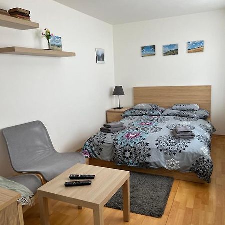 Apartament Cely Dum V Historickem Centru Loun Louny Zewnętrze zdjęcie